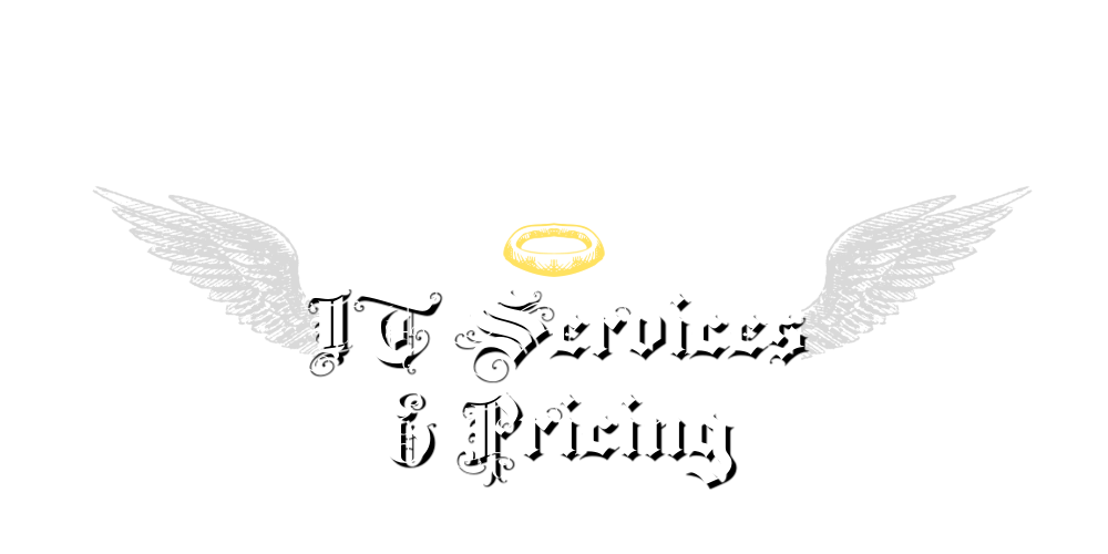 IT services Florida pricing and support options